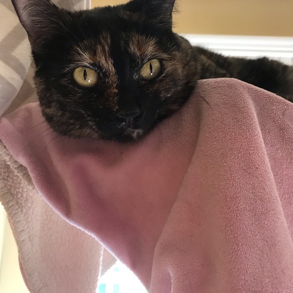 Meet your Posher, Deirdra - Picture 9 of 13